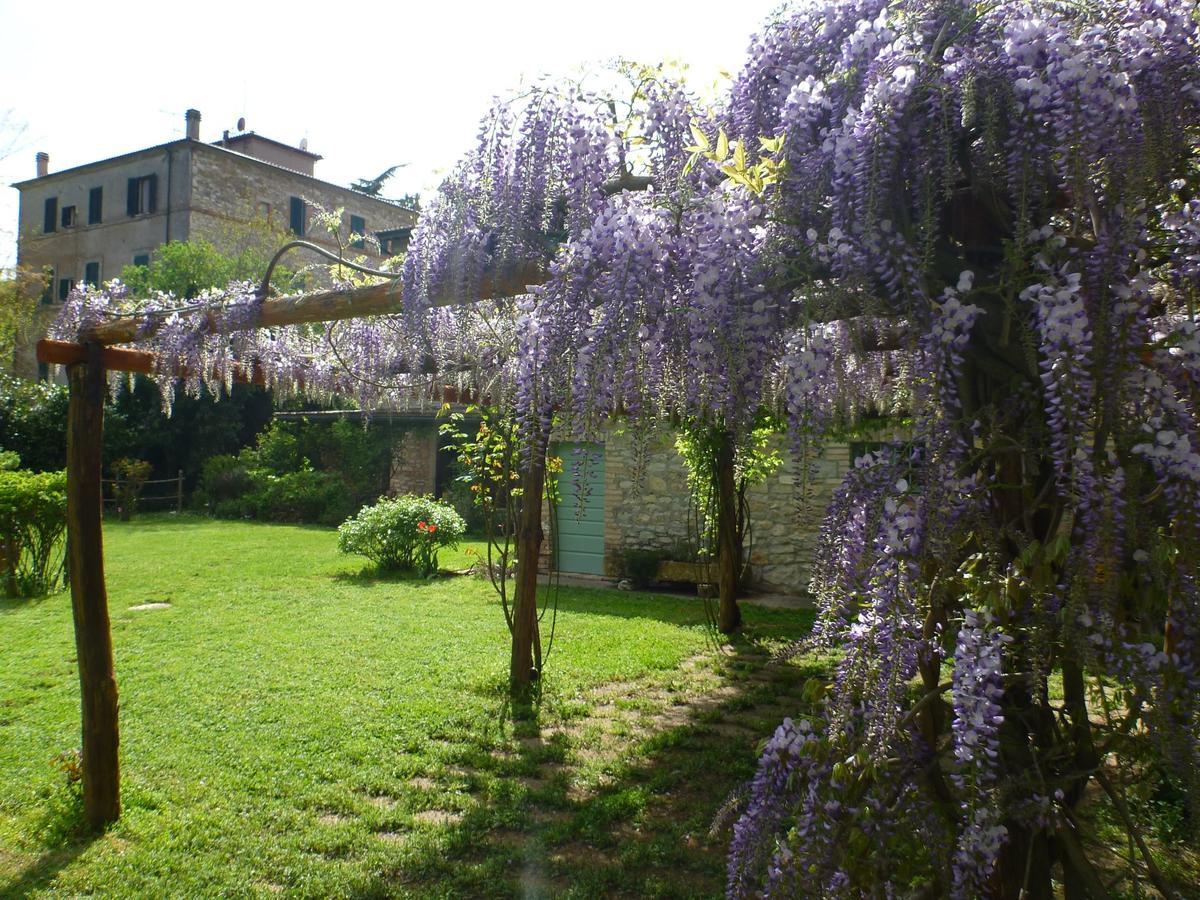 Bio La Crocetta Hotel San Casciano dei Bagni Exterior photo